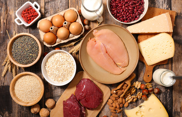 Bundled protein power – the importance of proteins