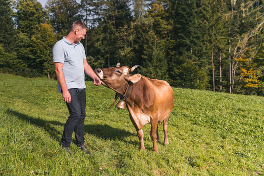 Kolostrum und Kollagen – eine harmonische Beziehung